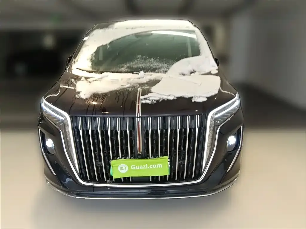Hongqi HQ9 PHEV 2024 из CN, фото 6