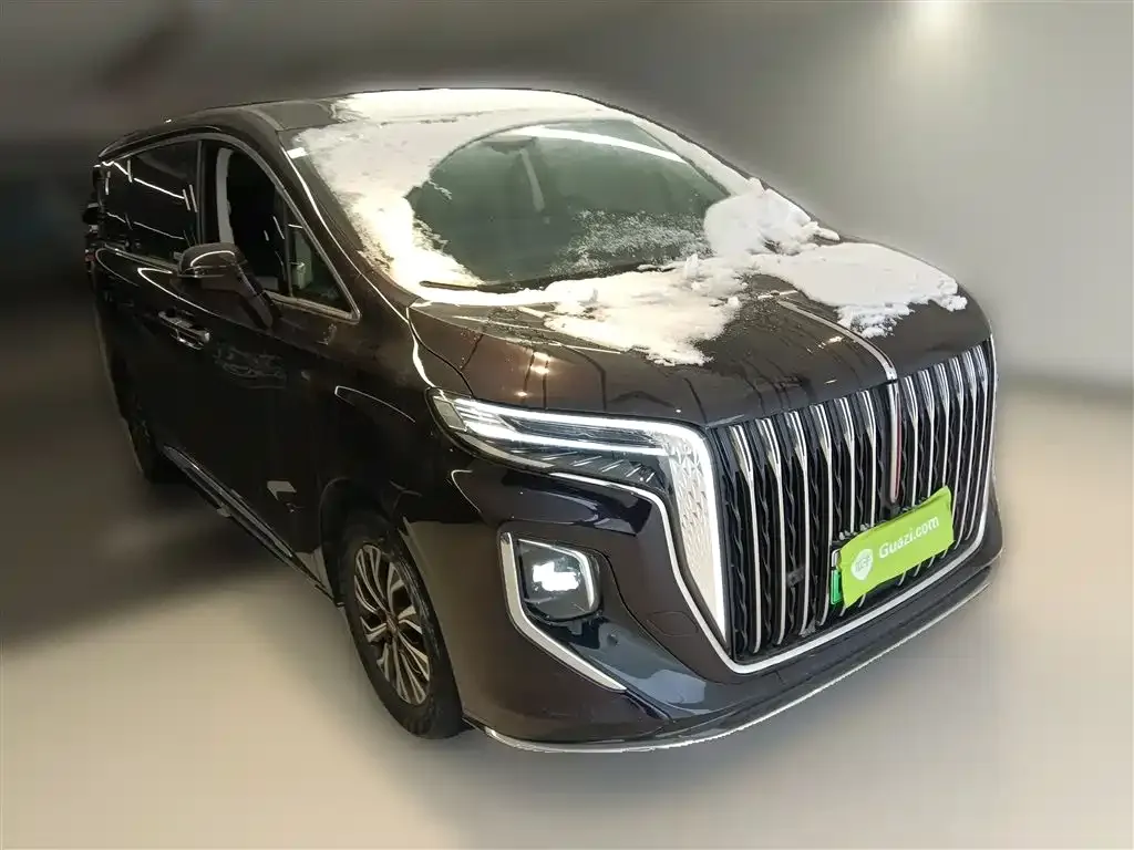 Hongqi HQ9 PHEV 2024 из CN, фото 9