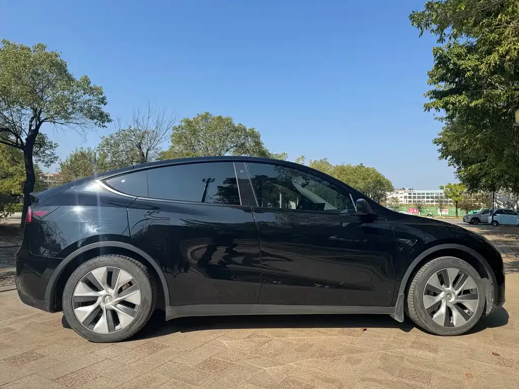 Tesla Model Y 2023 из CN, фото 4