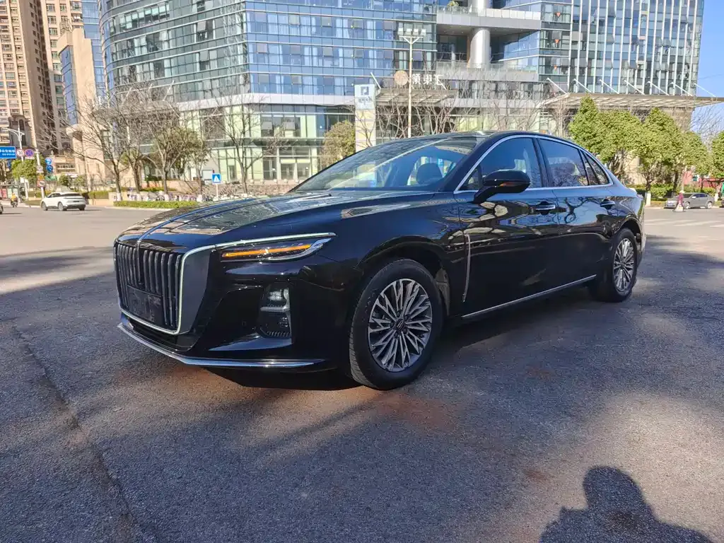 Hongqi H5 2023 из CN, фото 1