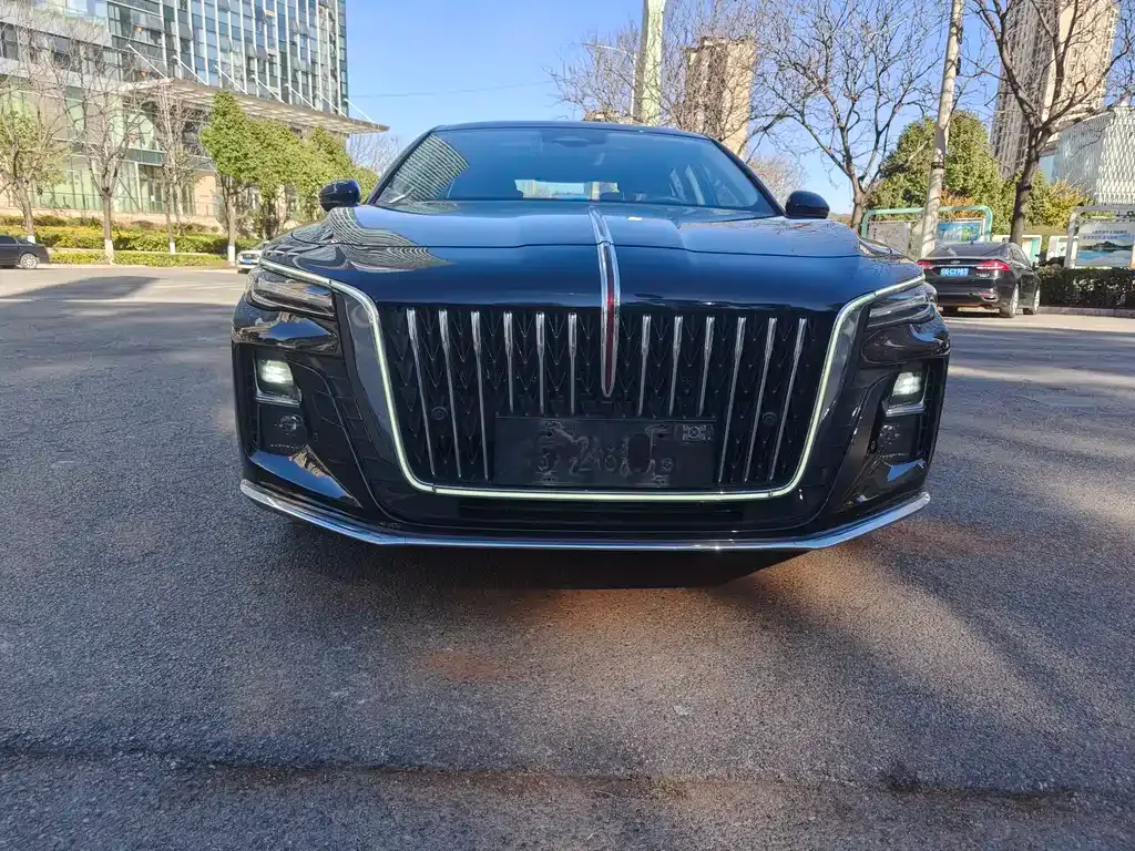 Hongqi H5 2023 из CN, фото 10