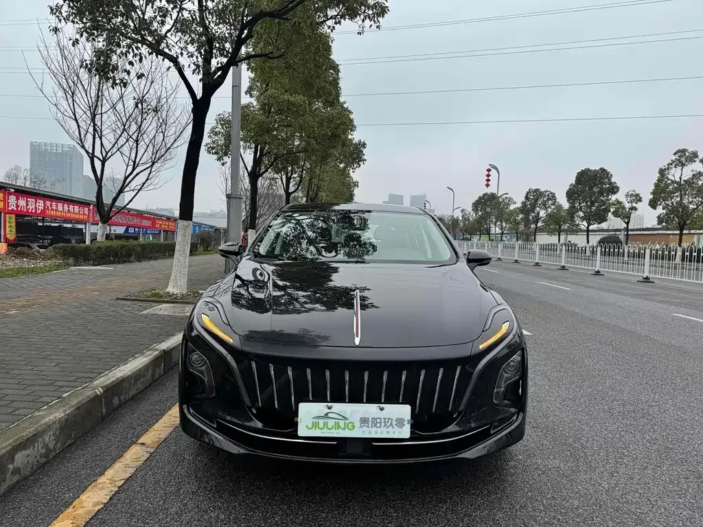Hongqi E-QM5 — фото 1
