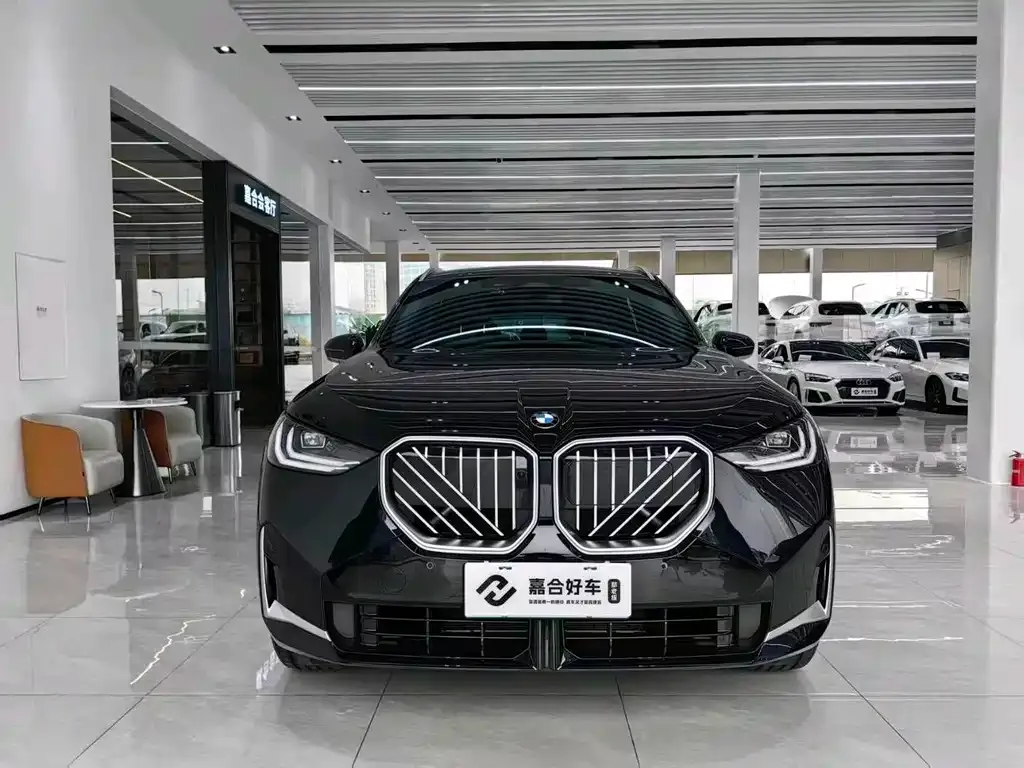 BMW X3 2025 из CN, фото 10