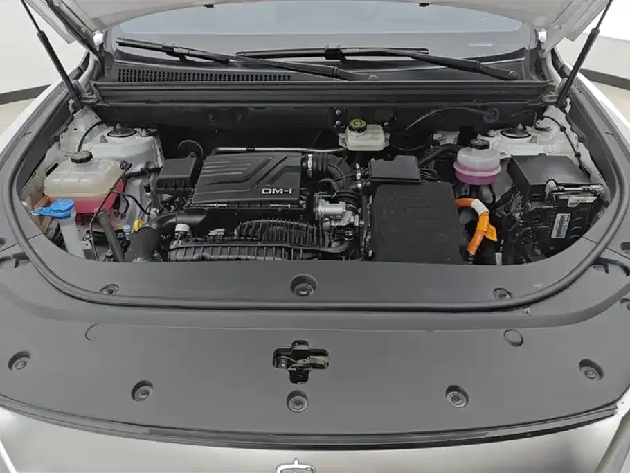 BYD Pro New Energy — фото 8