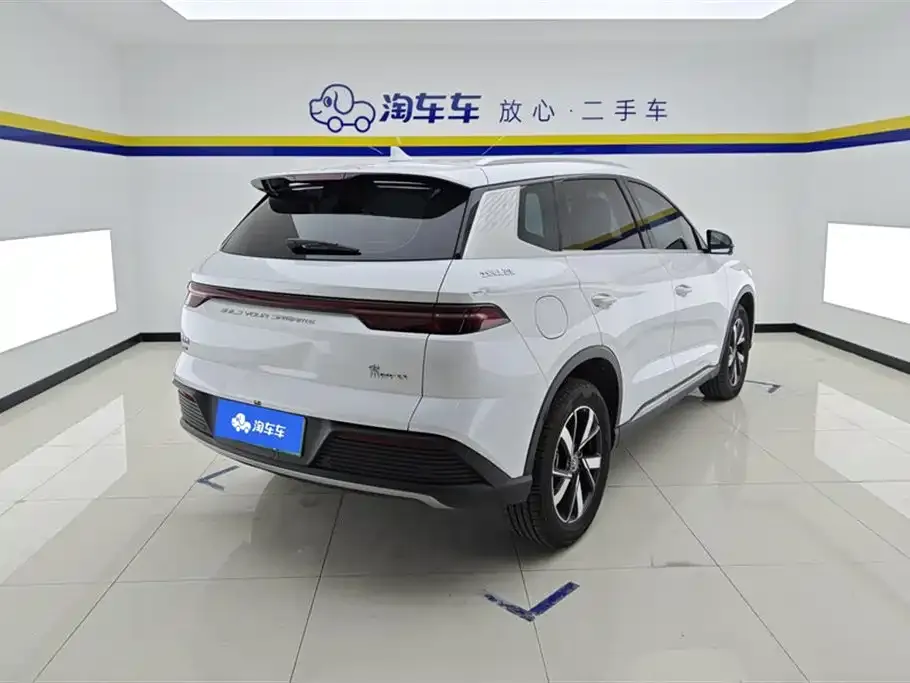 BYD Pro New Energy — фото 4