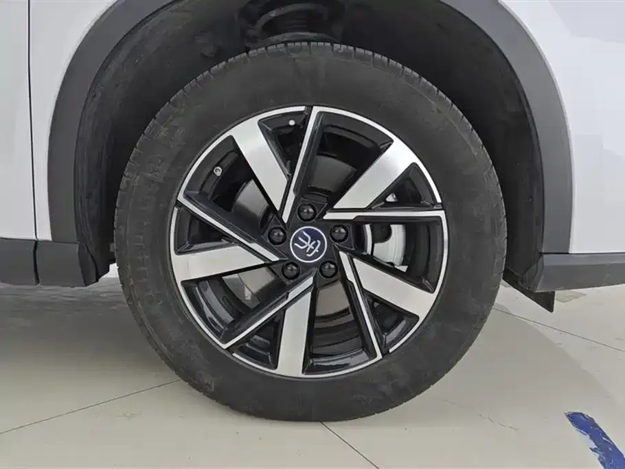 BYD Pro New Energy — фото 5