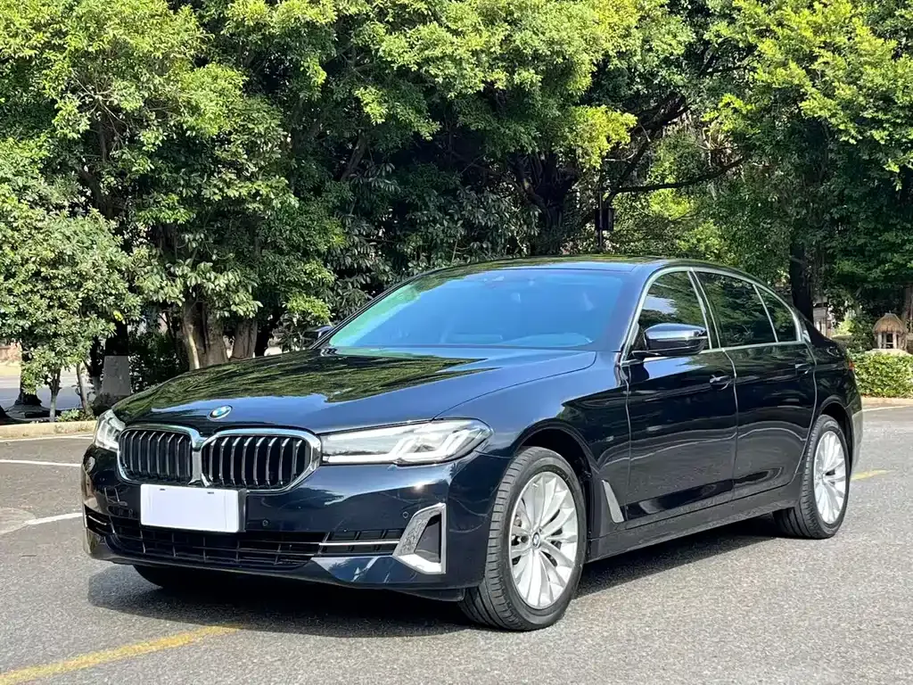 BMW 5 Series 2024 из CN, фото 1