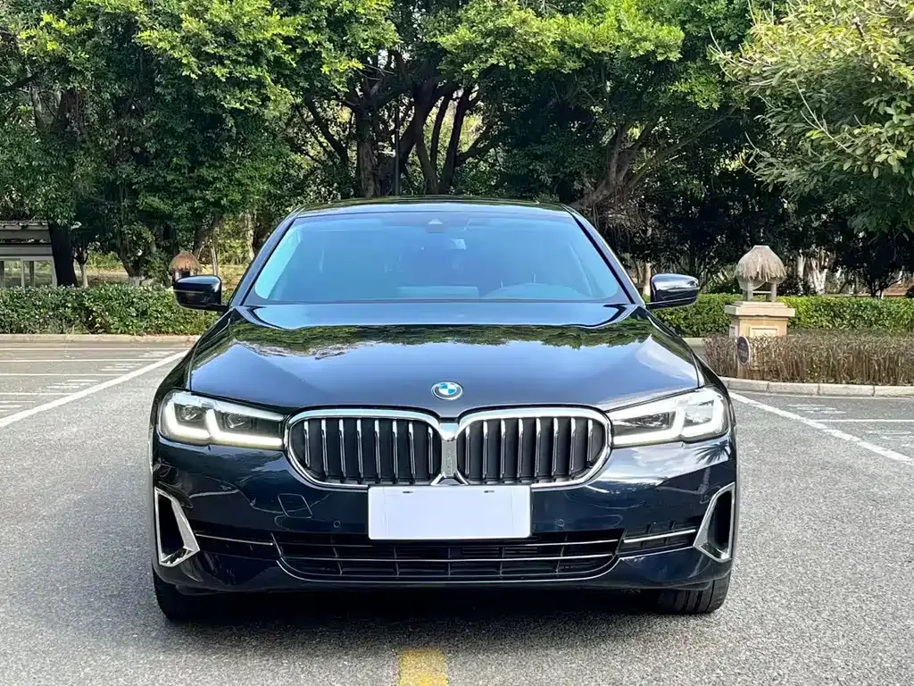BMW 5 Series 2024 из CN, фото 6