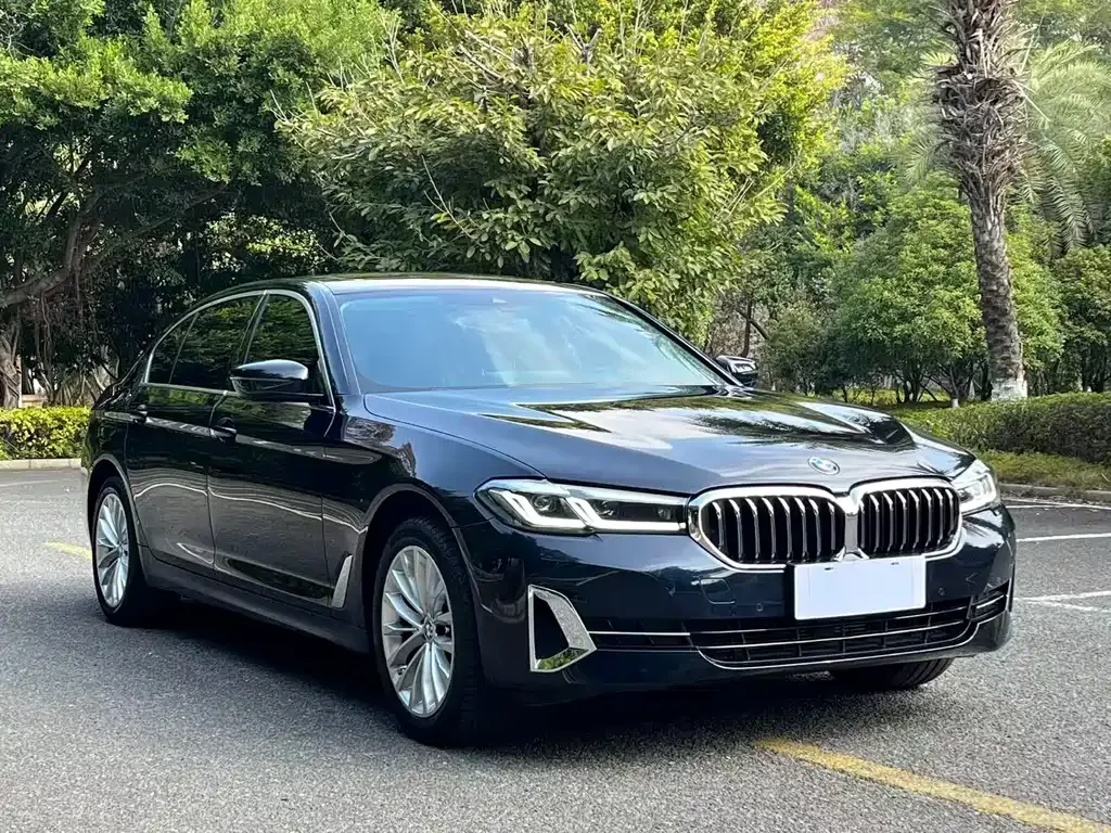BMW 5 Series 2024 из CN, фото 7