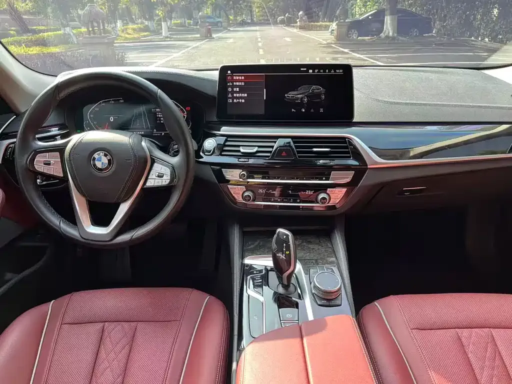 BMW 5 Series 2024 из CN, фото 4