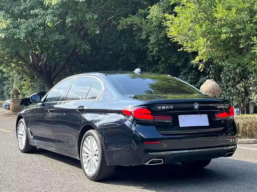 BMW 5 Series 2024 из CN, фото 9