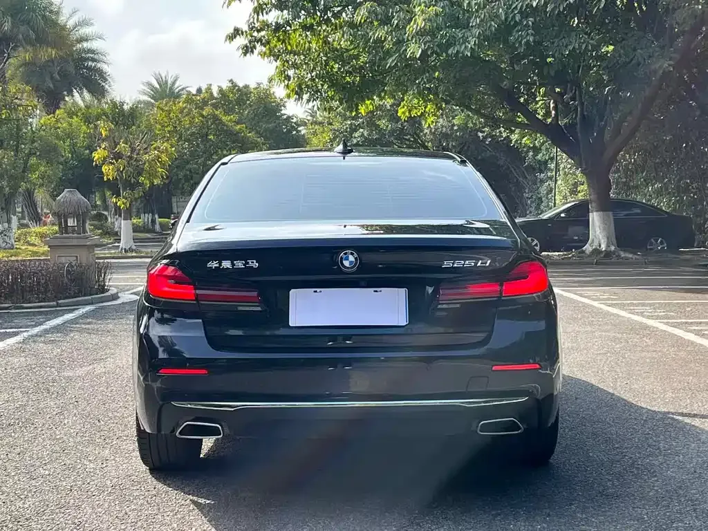 BMW 5 Series 2024 из CN, фото 10