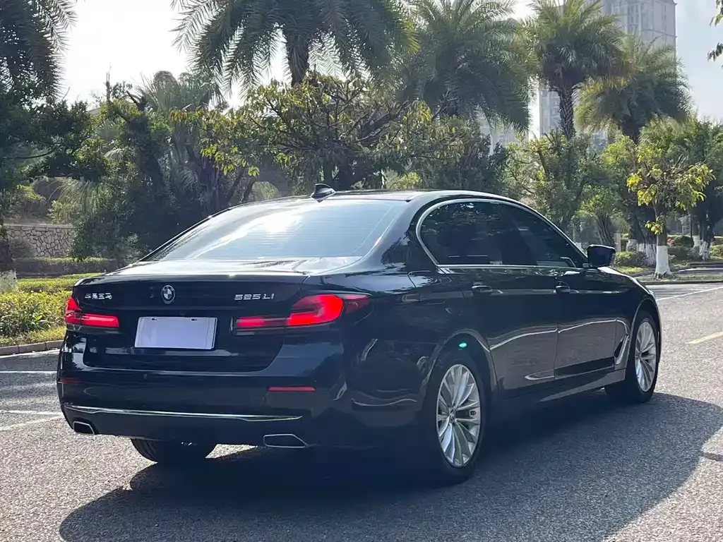BMW 5 Series 2024 из CN, фото 8