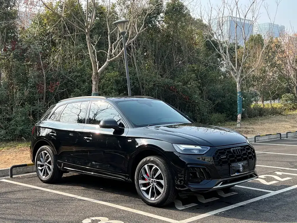 Audi Q5L 2024 из CN, фото 4