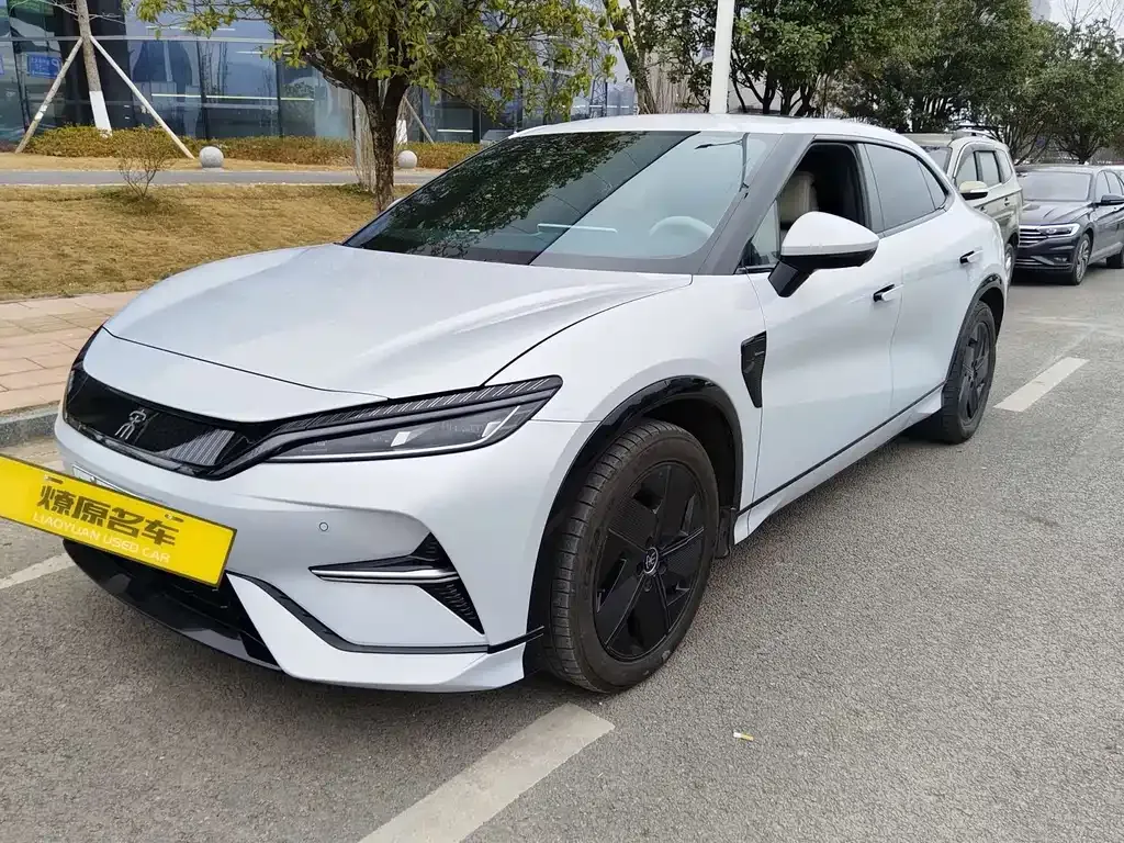 BYD L EV