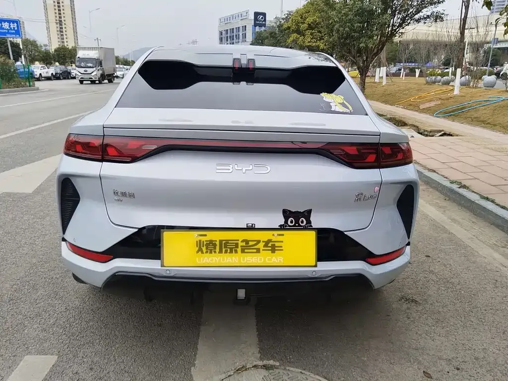 BYD L EV 2024 из CN, фото 4