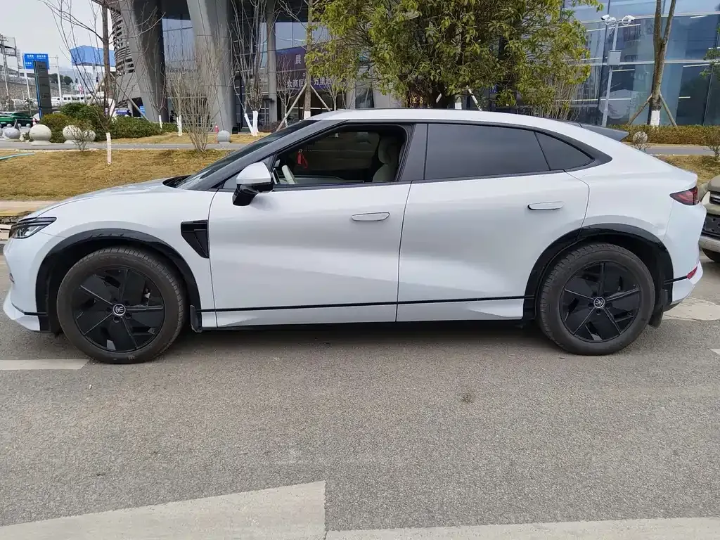 BYD L EV 2024 из CN, фото 10