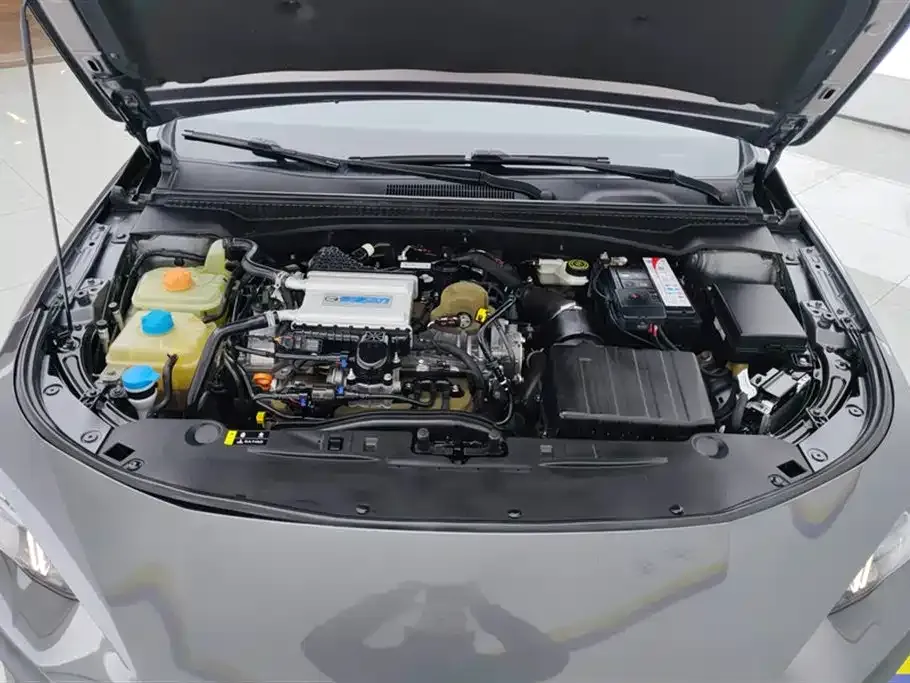 GAC Motor Shadow Leopard 2022 из CN, фото 5