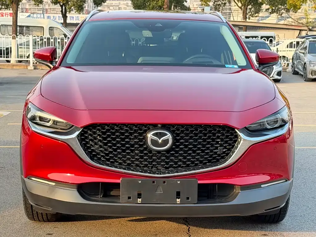 Mazda CX-30 2023 из CN, фото 9