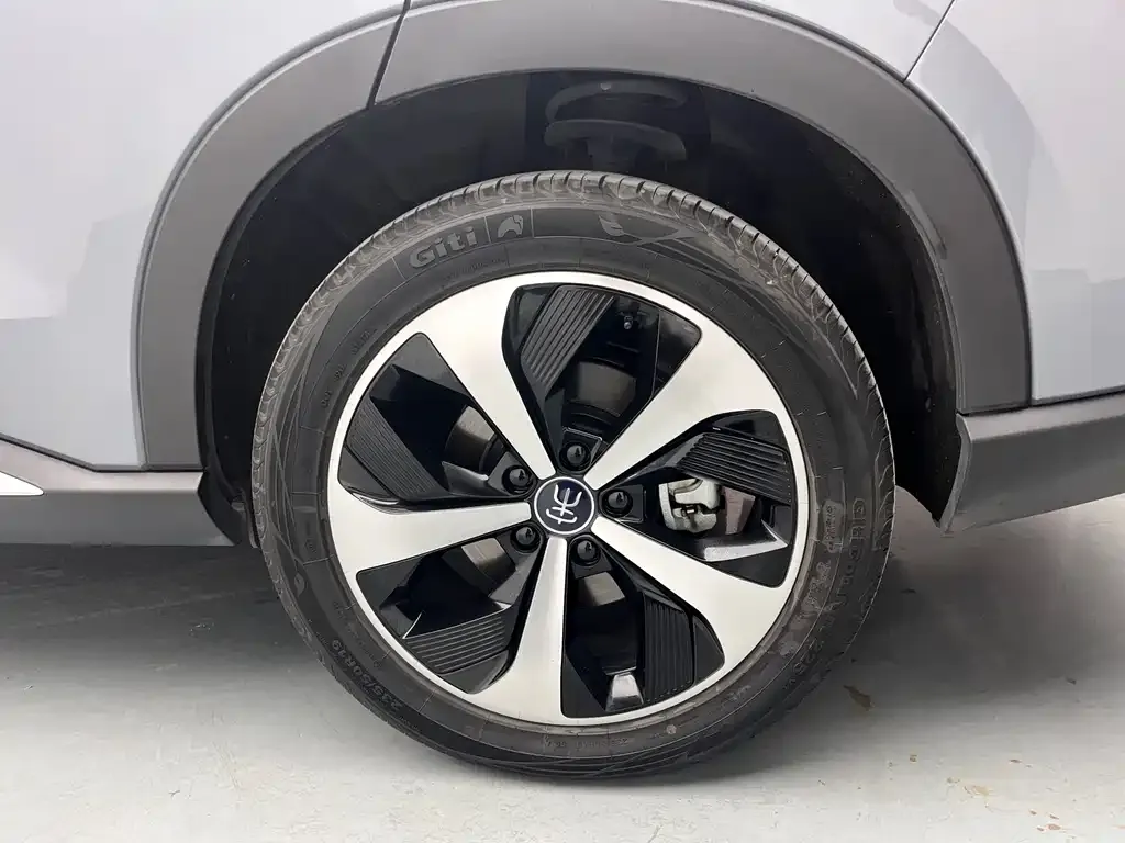 BYD PLUS New Energy — фото 10