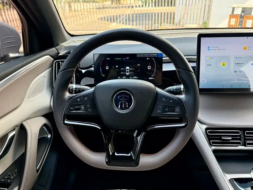 BYD Pro New Energy — фото 6