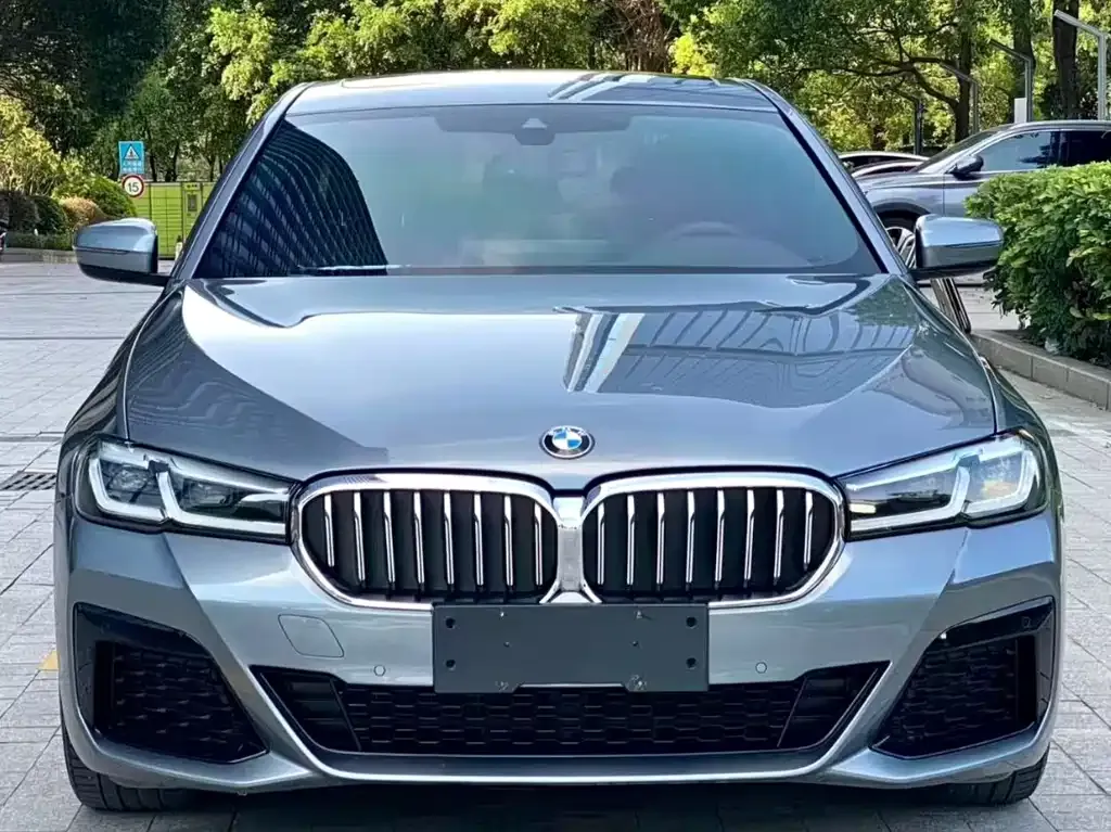 BMW 5 Series (Import)