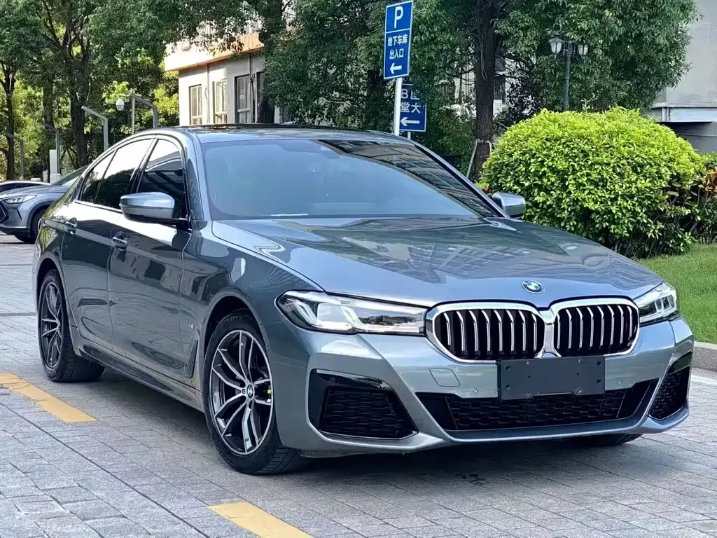BMW 5 Series (Import) 2021 из CN, фото 3