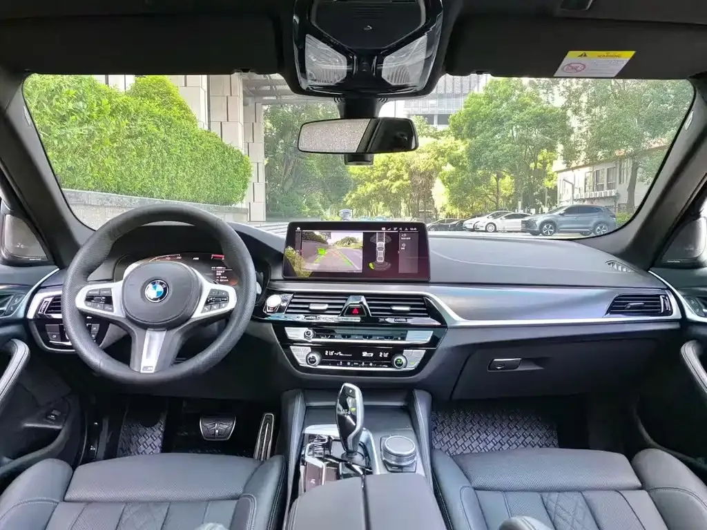 BMW 5 Series (Import) 2021 из CN, фото 6