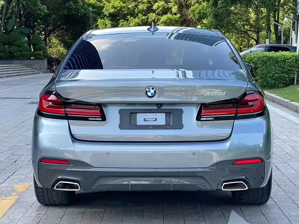 BMW 5 Series (Import) 2021 из CN, фото 9