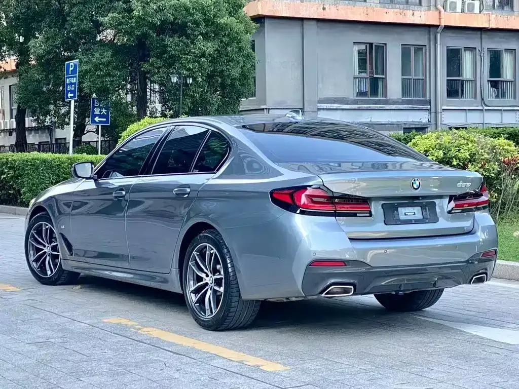BMW 5 Series (Import) 2021 из CN, фото 7