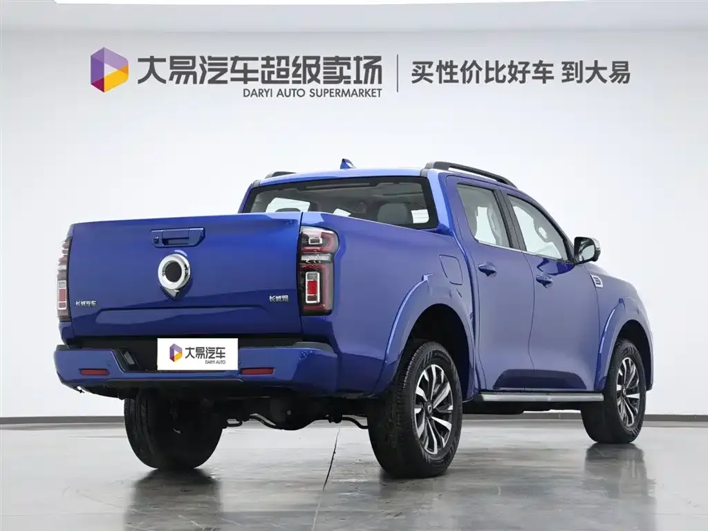 Great Wall Pao 2023 из CN, фото 4