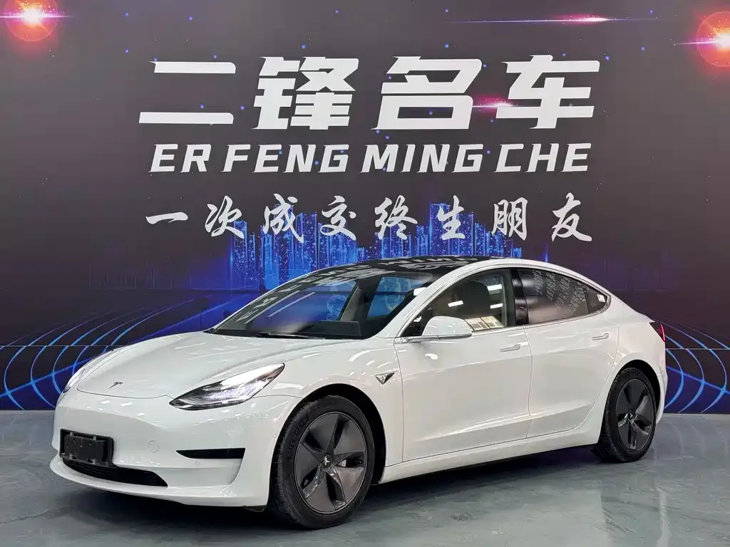 Tesla Model 3 2021 из CN, фото 1