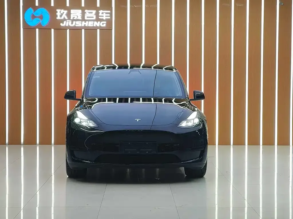 Tesla Model Y — фото 10