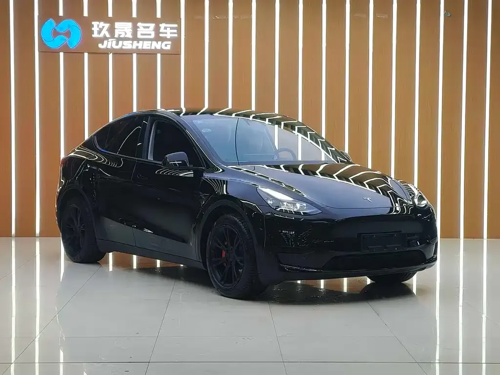 Tesla Model Y — фото 9