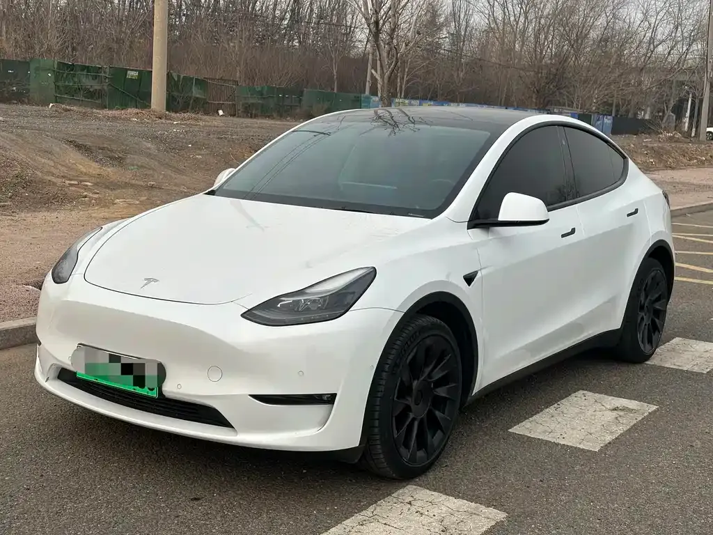 Tesla Model Y 2021 из CN, фото 1