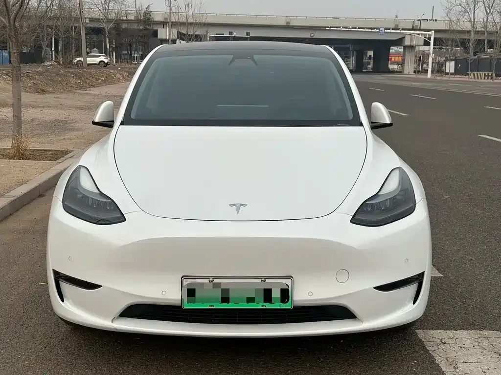 Tesla Model Y 2021 из CN, фото 3