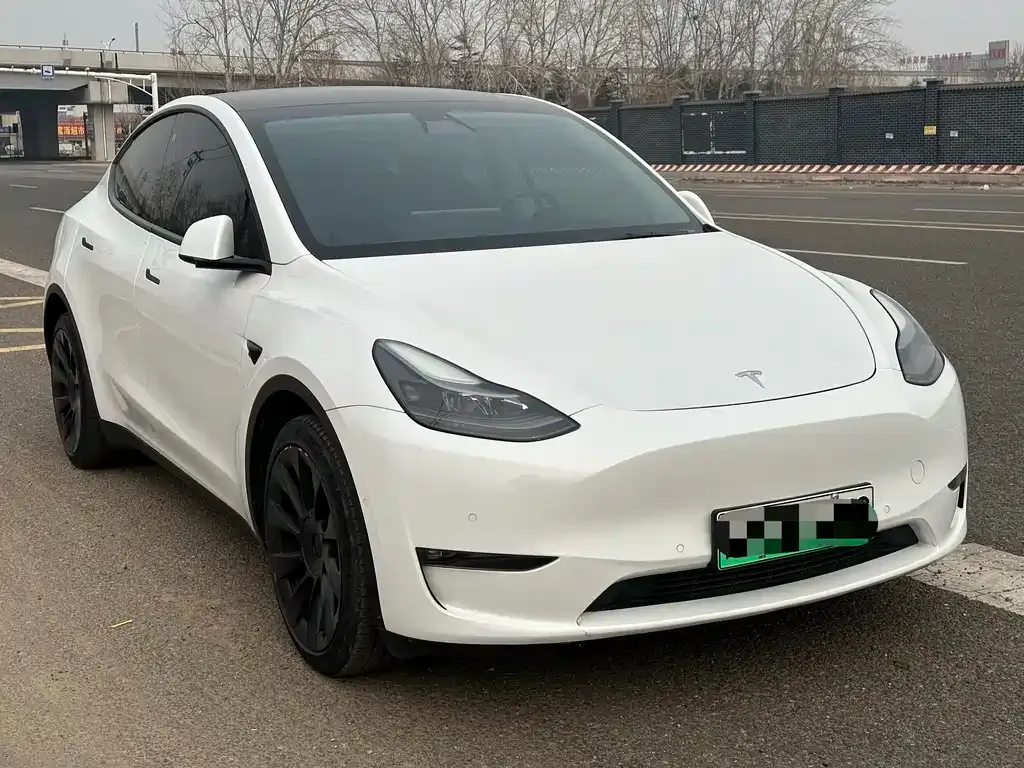 Tesla Model Y 2021 из CN, фото 6