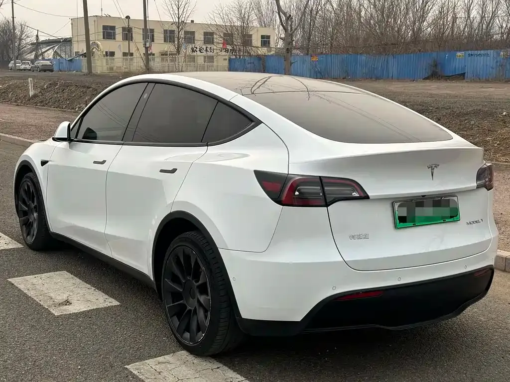 Tesla Model Y 2021 из CN, фото 7
