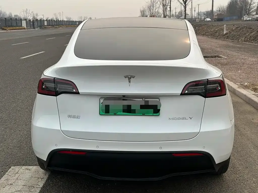 Tesla Model Y 2021 из CN, фото 5