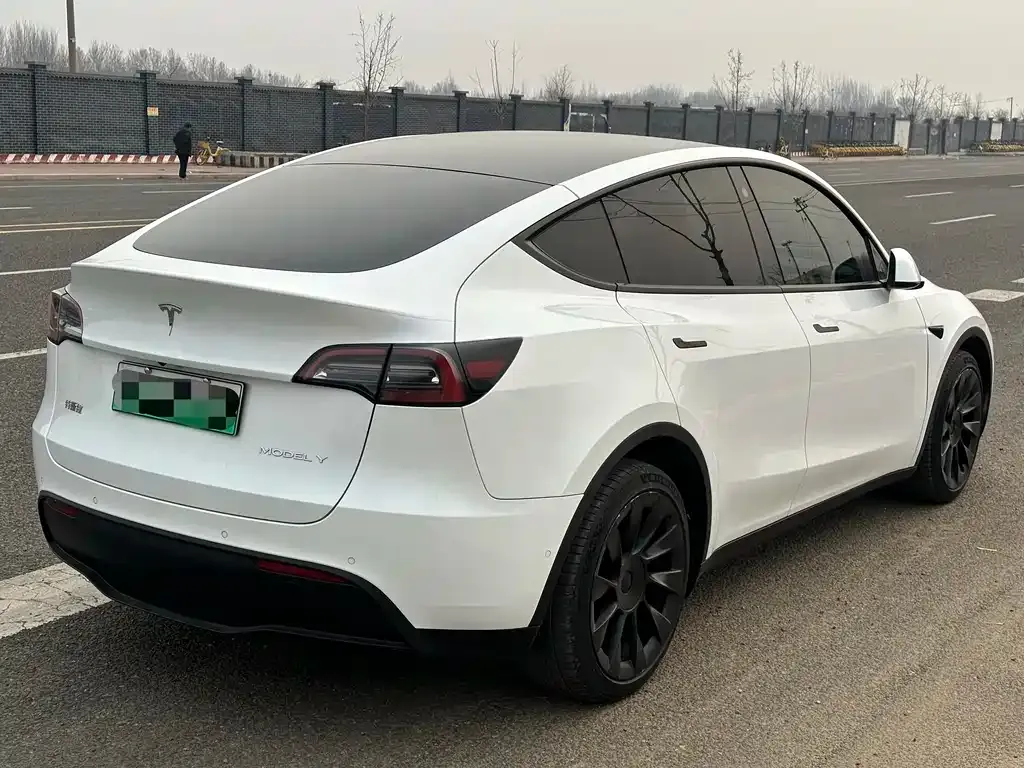 Tesla Model Y 2021 из CN, фото 8
