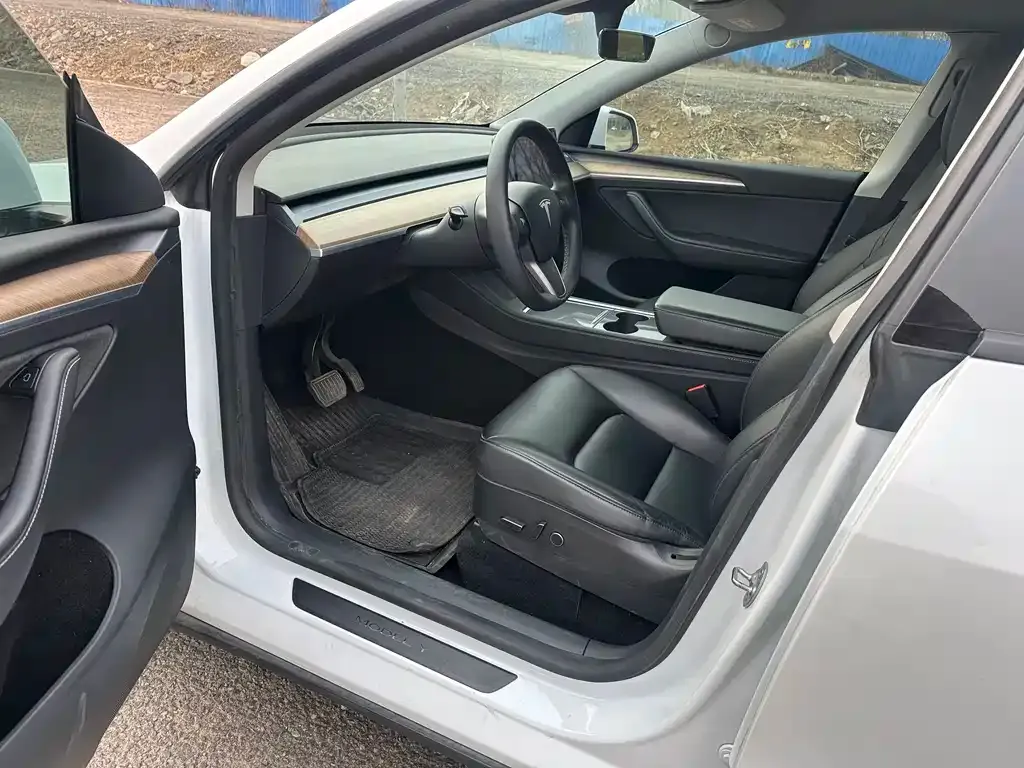 Tesla Model Y 2021 из CN, фото 4