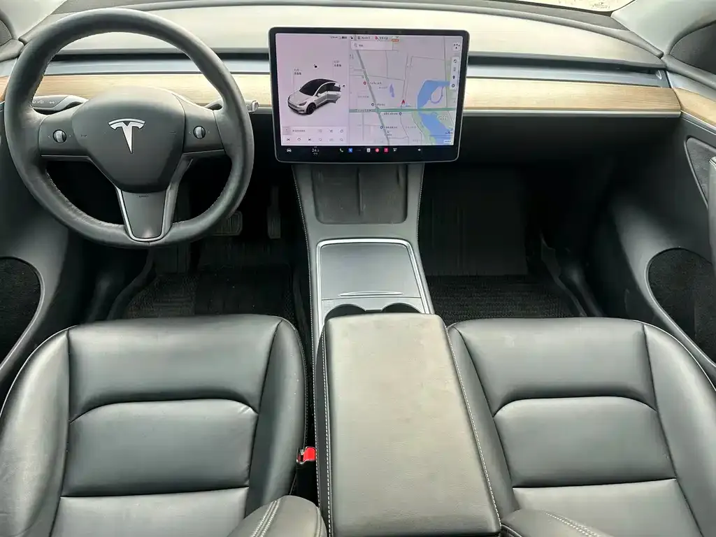 Tesla Model Y 2021 из CN, фото 10