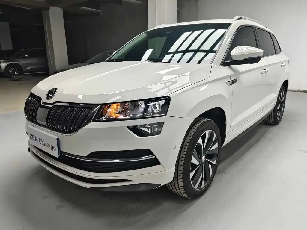 Skoda Karoq 2022 из CN, фото 1