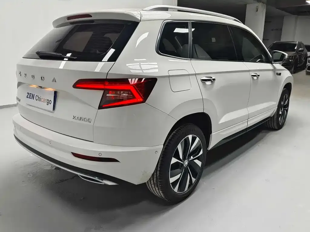 Skoda Karoq 2022 из CN, фото 3