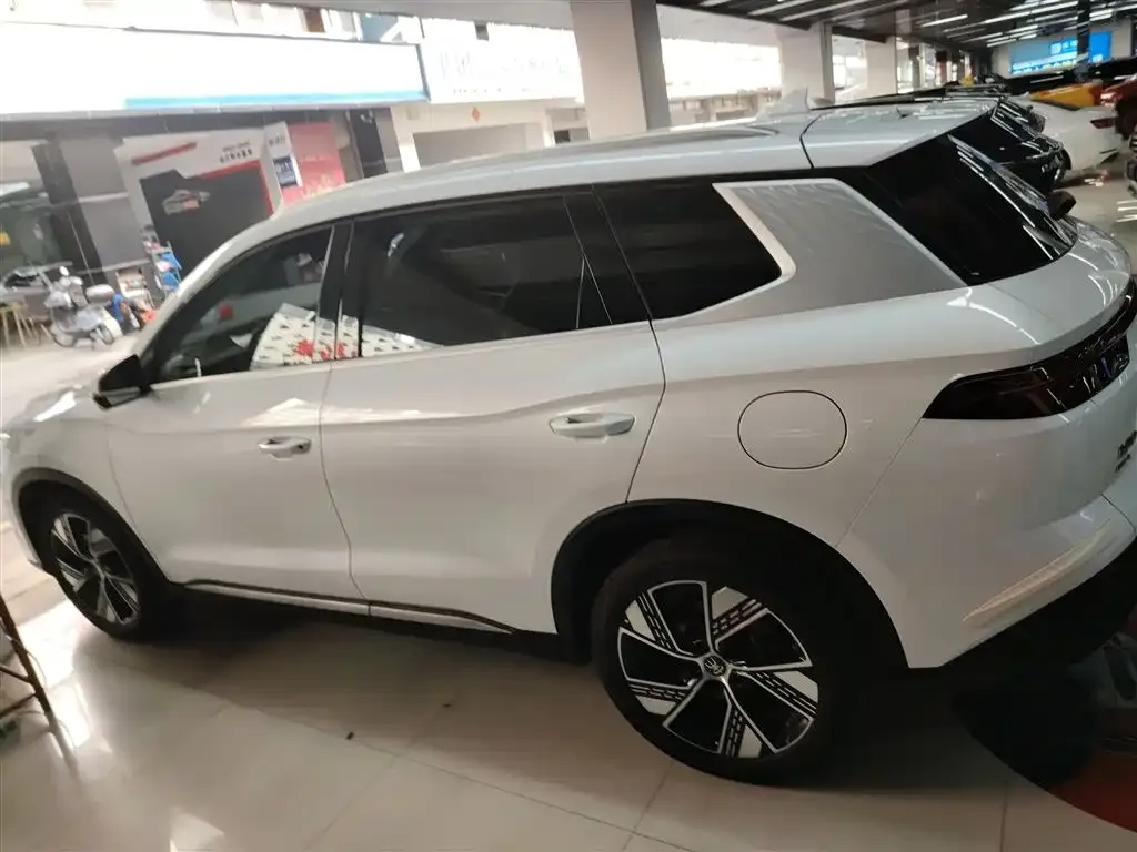 BYD Pro New Energy — фото 9