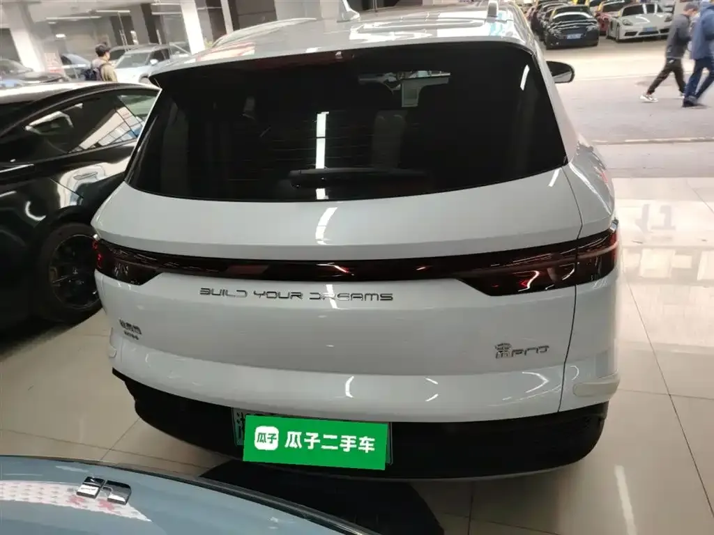 BYD Pro New Energy — фото 7