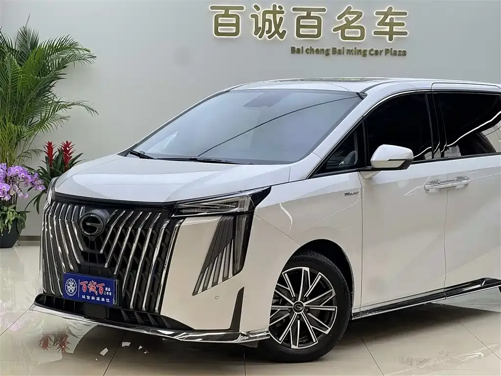 GAC Motor Trumpchi M8 2024 из CN, фото 8
