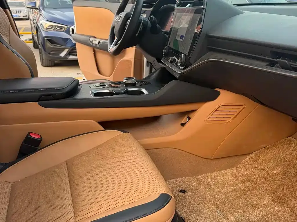 Lexus RZ 2023 из CN, фото 6