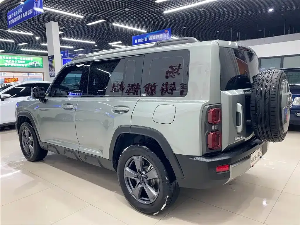 Haval Menglong New Energy — фото 8