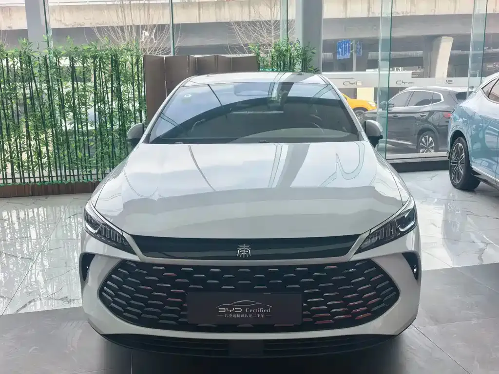 BYD Qin PLUS 2025 из CN, фото 1